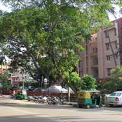 jp-nagar escort availabe